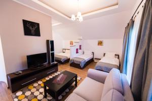 TV a/nebo společenská místnost v ubytování Pensiunea Puiu