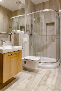 エルブロンクにあるWilla Piękny Widokのバスルーム(シャワー、トイレ、シンク付)