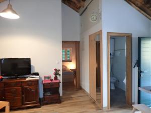 Televízia a/alebo spoločenská miestnosť v ubytovaní Mareta - Apartment in a stone house