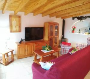 TV a/nebo společenská místnost v ubytování Chalet Ruta Las Lagunetas