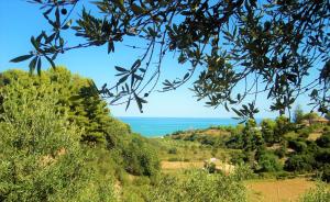 a view of the ocean from a hill with trees at Guidaloca Bay House con mini-piscina Scopello in Castellammare del Golfo
