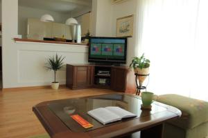 TV a/nebo společenská místnost v ubytování Vila Rojana