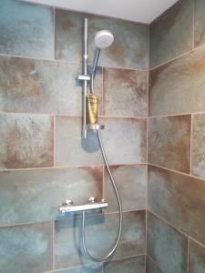 a shower with a shower head in a bathroom at Rosenhuset in Haderslev
