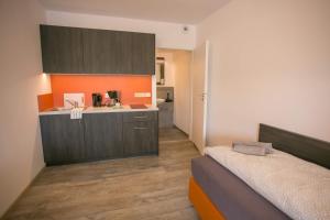 Kuchyň nebo kuchyňský kout v ubytování Apartments A7