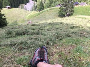 Paesaggio naturale nelle vicinanze dell'appartamento