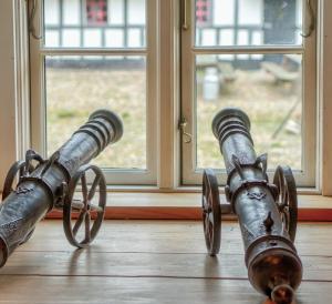 two cannonneys sitting on a floor next to a window at Svostrup Kro in Silkeborg