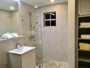 W łazience znajduje się prysznic i umywalka. w obiekcie Dover Woods Apartments w mieście Christ Church