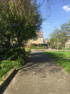 a tree on the side of a driveway at Cozy room in residential Alkmaar in Alkmaar