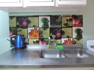 a kitchen sink with a flower tile on the wall at Cabañas Piedras Blancas in Jardín América