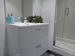 un baño con lavabo con una planta en Cottage AU TERMINUS en Hautvillers