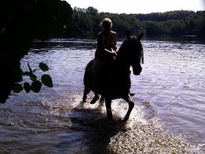 Horseback riding sa holiday home o sa malapit
