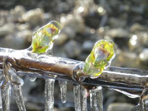 una imagen de hielo colgada de una barandilla metálica en Gîte Les aurégats, en Maligny