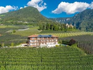 a hotel in a vineyard with mountains in the background at Feldhof Schenna in Schenna