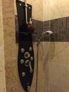une douche avec un panneau noir sur le mur dans l'établissement Chambre et salle de bain cocooning labellisée, à Nice