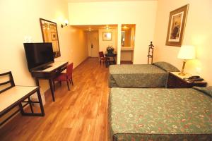 Dayrell Hotel e Centro de Convenções的电视和/或娱乐中心