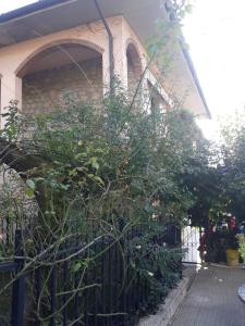 A garden outside El Giardino delle Rose.....