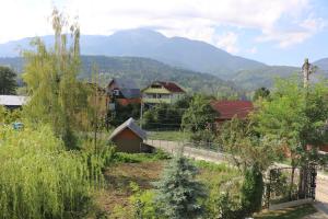 ボルシャにあるColt de raiの山を背景にした村の風景
