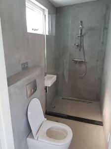 a bathroom with a shower and a toilet and a sink at Costa del Twel in Uitwellingerga