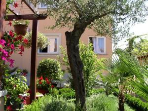 Vonkajšia záhrada v ubytovaní Apartments Villa Amfora