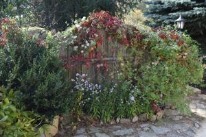 einen Garten mit Blumen auf einem Holzzaun in der Unterkunft Pensjonat Nostalgia in Sosnowka