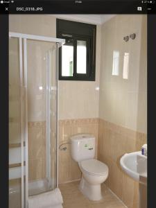 a bathroom with a toilet and a shower and a sink at Calle Cinteria in Málaga +6 photos