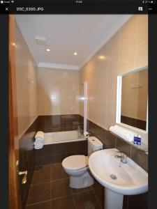 a bathroom with a toilet and a sink and a tub at Calle Cinteria in Málaga