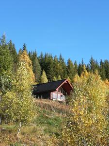 SysslebäckにあるPersbyheden 14の森の中の小屋