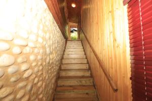 Fotografie z fotogalerie ubytování Big Tree House Lodge v destinaci Knysna