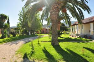 Almiros Beach的住宿－自由公寓，房子旁的院子中的棕榈树