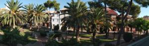 a group of palm trees in front of a building at Apartamentos Calanda in Calanda