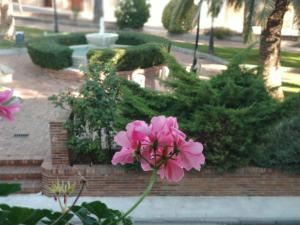 Afbeelding uit fotogalerij van Apartamentos Calanda in Calanda +20 foto's