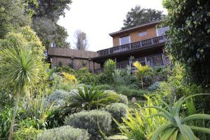 Zahrada ubytování Big Tree House Lodge