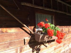 Gallery image of Chalet Bernstein in Sankt Sigmund im Sellrain