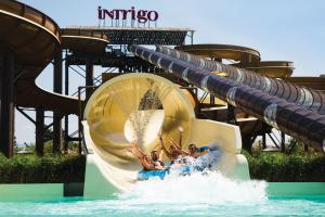 un groupe de personnes utilisant un toboggan aquatique dans un parc aquatique dans l'établissement Apartment Nonna Cucca, à Cecina