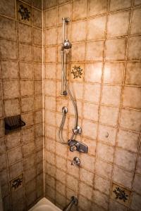 a shower in a bathroom with a shower at fanning 91 (zur Veitlerin) in Mariapfarr +37 photos