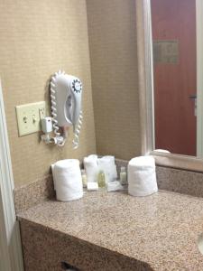 a bathroom counter with towels and a hair dryer at Wingate by Wyndham - York in York