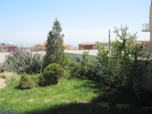 Φωτογραφία από το άλμπουμ του Guest House Dima στη Σωζόπολη