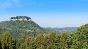 a castle on top of a mountain with trees at Ferienhaus Fischer in Kurort Gohrisch +6 photos