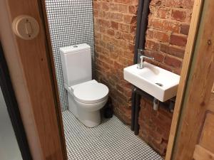 a bathroom with a toilet and a sink at Vintage Design Apartment in Kuldīga +5 photos