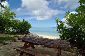 eine Holzbank am Strand in der Nähe des Ozeans in der Unterkunft Studio Capucine in Sainte-Anne