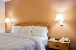 Postel nebo postele na pokoji v ubytování Motel 6-Macon, GA