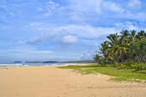 uma praia arenosa com palmeiras e o oceano em Sahana Sri Villa em Bentota
