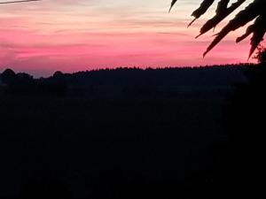 ニュームブレヒトにあるFerienwohnung Krahmの木々の夕日を眺める