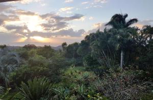 a view of a garden with trees and a sunset at Rocky Ridge Farm Cottage in Port Edward