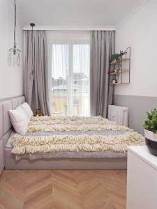 Легло или легла в стая в Hip, Cosmopolitan Gem in the Heart of Sofia