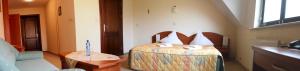 Μια τηλεόραση ή/και κέντρο ψυχαγωγίας στο Hotel Słowik