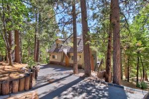 a house in the middle of a forest at Dancing Bear Chalet in Lake Arrowhead