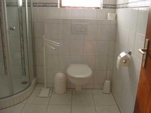 een kleine badkamer met een toilet en een douche bij Bebensee Edda DZ in Neustadt in Holstein
