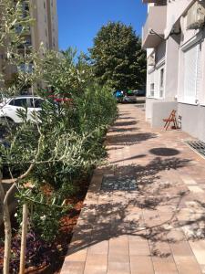 Fotografie z fotogalerie ubytování Apartments Mikulić v destinaci Zadar