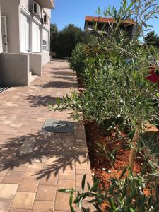 Fotografie z fotogalerie ubytování Apartments Mikulić v destinaci Zadar